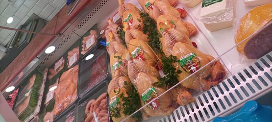 Pollo halal